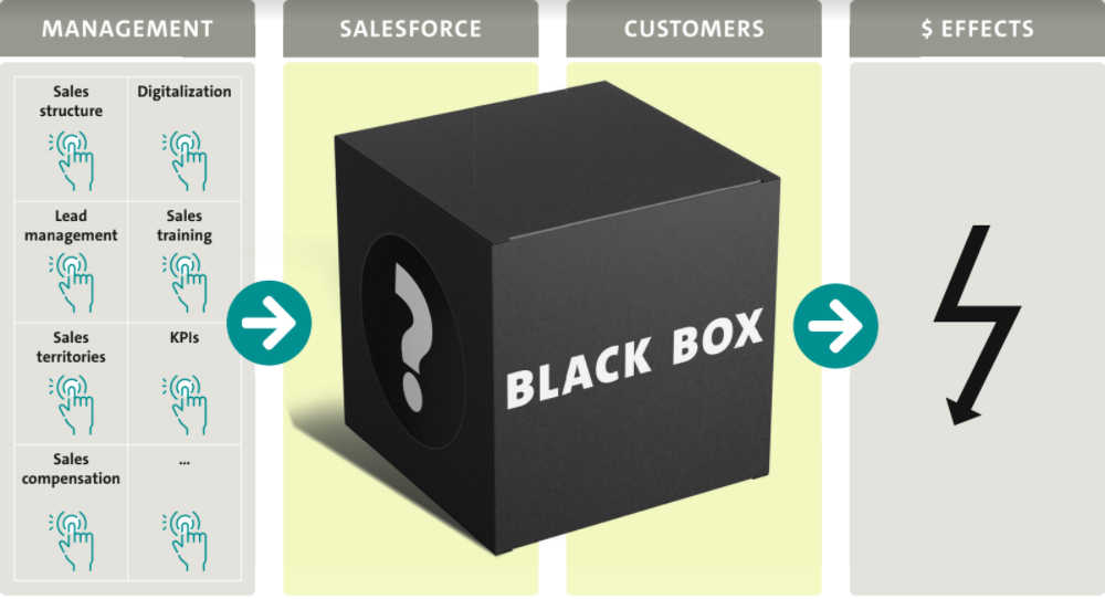 Abbildung der Blackbox der Sales Profit Chain